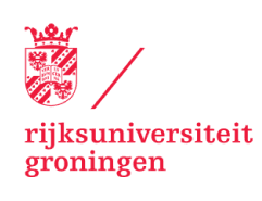 Rijksuniversiteit Groningen